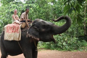 Jodinėjimas drambliais Goa valstijoje