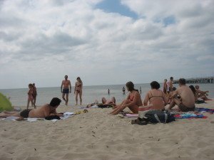 palanga 119