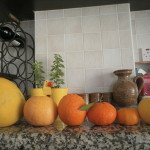 Kipre-soduose-noksta-apelsinai-mandarinai-pamelos-citrinos-ir-daugybė-vaisių-mums-net-nežinomais-pavadinimais