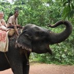 Jodinėjimas drambliais Goa valstijoje