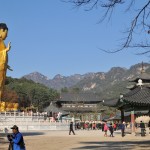 Buda gan aukštas, kokio 15-20 m ūgio