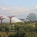 Gardens by the bay