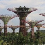 Gardens by the bay