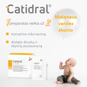 catidral