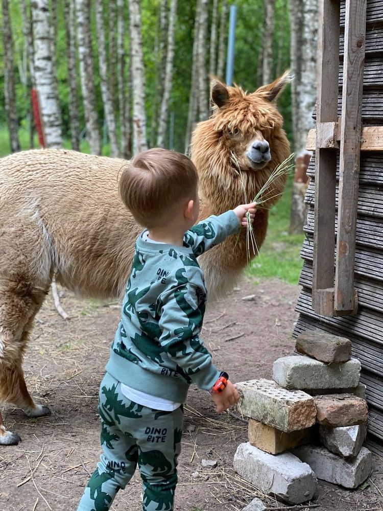 TOP 50 gyvūnų ūkių visoje Lietuvoje – dalinasi keliaujančių mamų bendruomenė