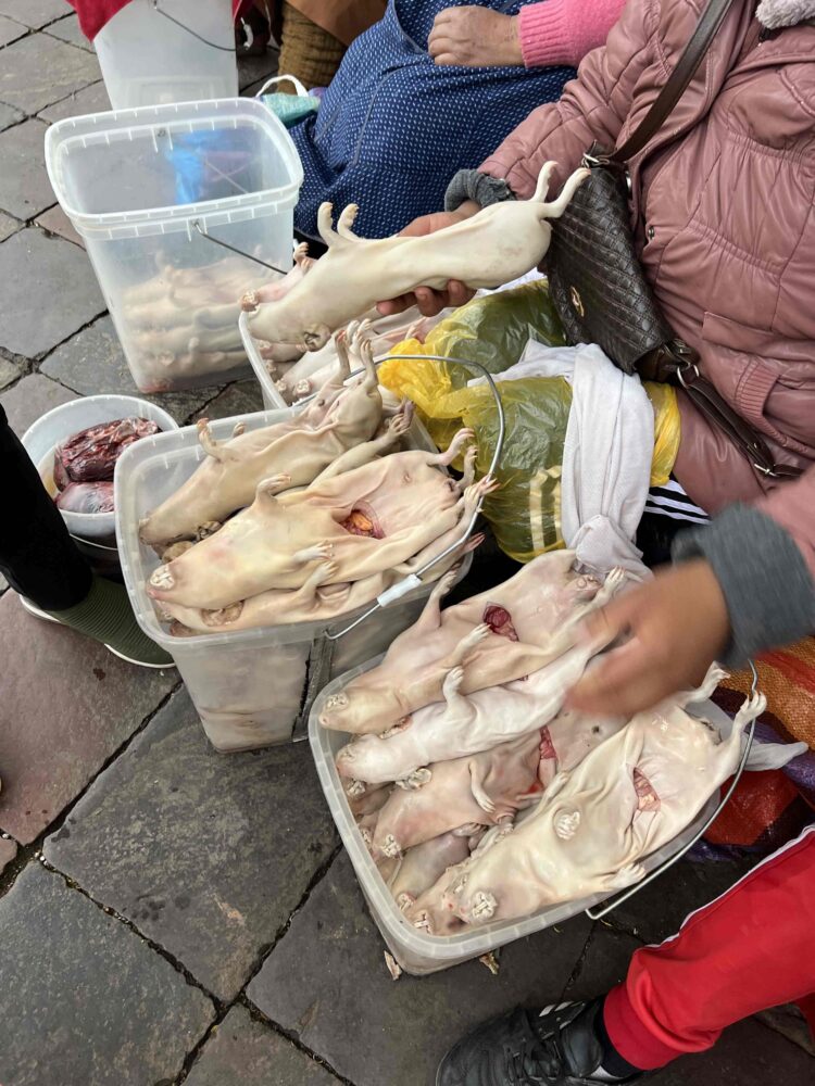 „Keliaujančios mamos“ dalinasi: dvi poros su mažais vaikais apkeliavo Peru
