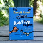 Aukštyn kojom