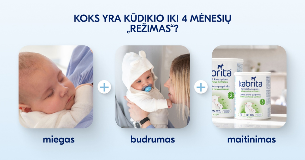 Kabrita